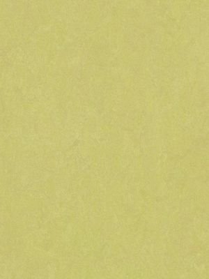 Muster: m-wmf3885-2,5 Forbo Marmoleum Fresco Linoleum...