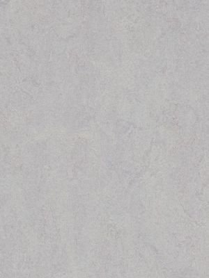 Muster: m-wmf3883-2,5 Forbo Marmoleum Fresco Linoleum...