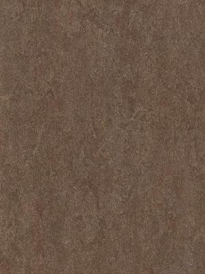 wmf3874-2,5 Forbo Marmoleum Fresco walnut Linoleum...