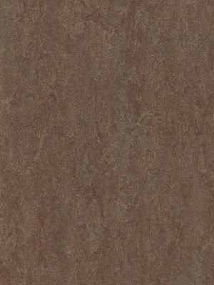 Muster: m-wmf3874-2,5 Forbo Marmoleum Fresco Linoleum...