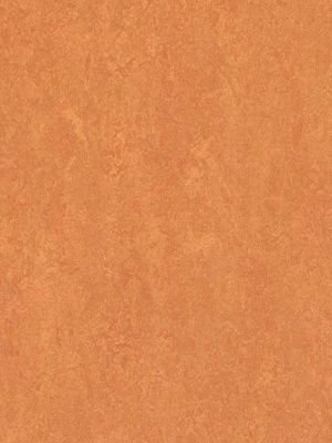 Muster: m-wmf3825-2,5 Forbo Marmoleum Fresco Linoleum...