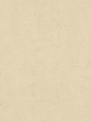 Muster: m-wmf3858-2,5 Forbo Marmoleum Fresco Linoleum...