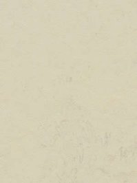 wfwco3701 Forbo Linoleum Uni moon Marmoleum Concrete