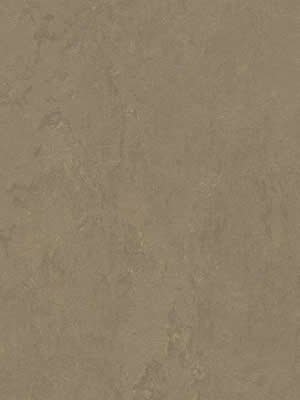 wfwco3709 Forbo Linoleum Uni silt Marmoleum Concrete
