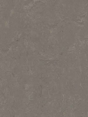 wfwco3705 Forbo Linoleum Uni meteorite Marmoleum Concrete