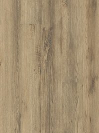 wmp24279c Moduleo Primero 30 Click Vinyl Major Oak...
