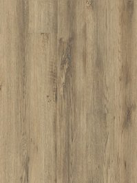 wmp24279c Moduleo Primero 30 Click Vinyl Major Oak...