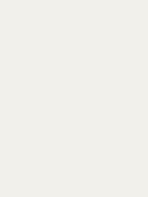 Muster: m-wptr1137 Profilor Trendy Messe CV-Belag...