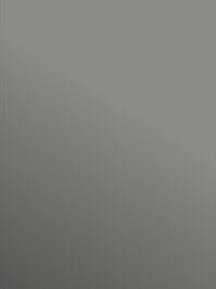 Profilor Trendy Messe CV-Belag grau PVC-Boden unicolor...