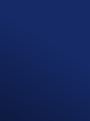 Muster: m-wptr6271 Profilor Trendy Messe CV-Belag...