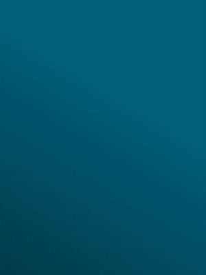 Muster: m-wptr6152 Profilor Trendy Messe CV-Belag...