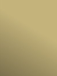 Profilor Trendy Messe CV-Belag beige PVC-Boden unicolor...
