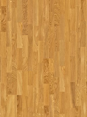 Muster: m-wjcE1803 Joka Deluxe 535 SB Kingston...