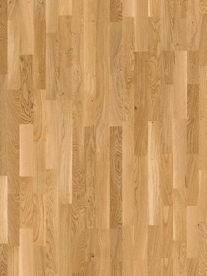 Muster: m-wjcE5800 Joka Deluxe 535 SB Kingston...
