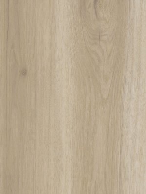 Amtico Spacia Vinyl Designbelag Eden Oak Wood zum Verkleben, Kanten gefast wSS5W1010