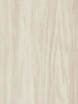 Amtico First Vinyl Designbelag White Oak Wood Designbelag, Kanten gefast wSF3W2548