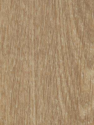 Forbo Allura 0.55 natural giant oak Commercial Designbelag Wood zum verkleben wfa-w60284-055