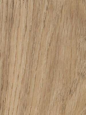 Forbo Allura 0.55 central oak Commercial Designbelag Wood zum verkleben wfa-w60300-055