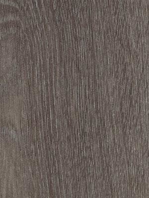 Forbo Allura 0.55 grey collage oak Commercial Designbelag Wood zum verkleben wfa-w60375-055