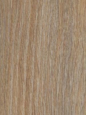 Forbo Allura 0.55 roasted oak Commercial Designbelag Wood...