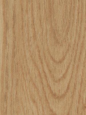 Forbo Allura 0.55 honey elegant oak Commercial Designbelag Wood zum verkleben wfa-w60065-055