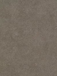 Forbo Allura 0.55 taupe sand Commercial Designbelag Stone...