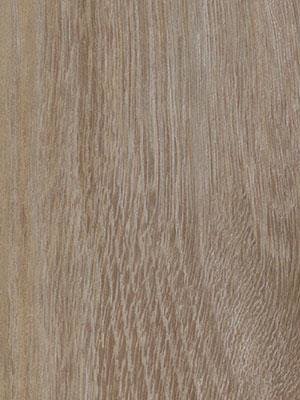 Forbo Allura 0.70 rose pastel oak Premium Designbelag...