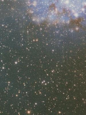 Muster: m-wfa-a63451-070 Forbo Allura 0.70 Premium...