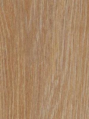 Forbo Allura 0.40 pure oak Domestic Designbelag Wood zum...