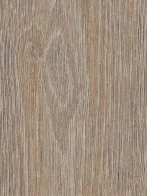 Forbo Allura 0.40 steamed oak Domestic Designbelag Wood zum Verkleben wfa-w66293-040