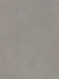 Forbo Allura 0.40 mist texture Domestic Designbelag Stone...