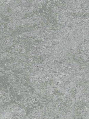 wpro-fl617 Profilor Linoleum 617 Mittelgrau Naturboden