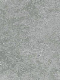 wpro-fl617 Profilor Linoleum 617 Mittelgrau Naturboden