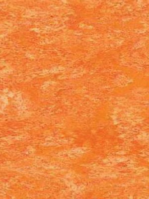 wpro-fl538 Profilor Linoleum 538 Orange Naturboden