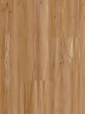 Muster: m-wMLD00107-400w Wineo 400 Wood Click Multi-Layer...