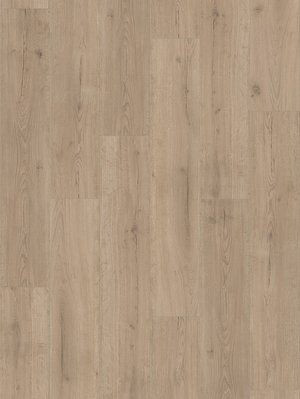 Parador Basic 2.0 Wood Vinyl  Eiche Infinity grau...