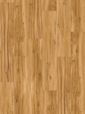 Parador Basic 2.0 Wood Vinyl  Eiche Memory natur...