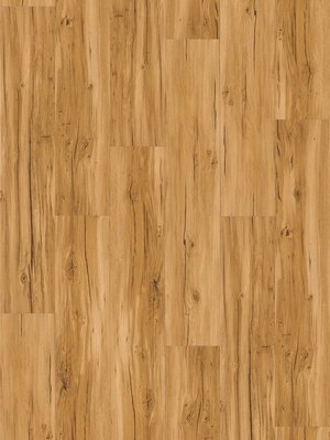 Muster: m-wP1649300 Parador Basic 30 Vinyl Parkett...