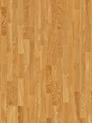 Muster: m-wjcE1813 Joka Deluxe 535 SB Kingston...