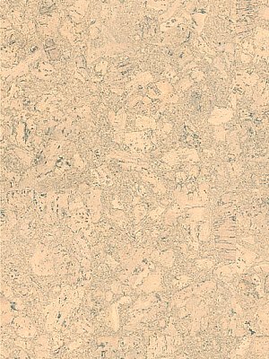 Muster: m-wP805002ce Wicanders cork Essence Korkboden...