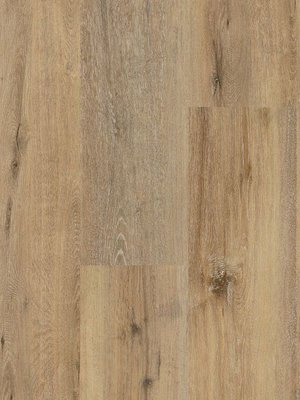 Muster: m-wDLC00126 Wineo 400 Wood  XL Click Vinyl...