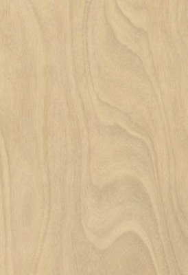 Muster: m-wPLR134C Wineo 1500 Wood Purline PUR Bioboden...