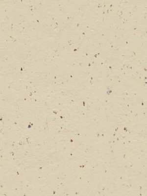 wfwc3584 Forbo Linoleum Uni white chocolate Marmoleum Cocoa