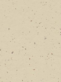 wfwc3584 Forbo Linoleum Uni white chocolate Marmoleum Cocoa