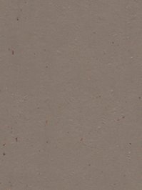 wfwc3580 Forbo Linoleum Uni milk chocolate Marmoleum Cocoa