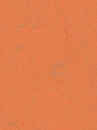 wfwco3738 Forbo Linoleum Uni orange glow Marmoleum Concrete