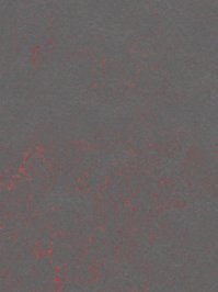wfwco3737 Forbo Linoleum Uni red shimmer Marmoleum Concrete