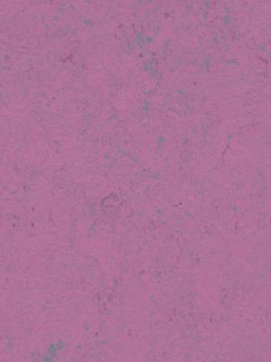 wfwco3740 Forbo Linoleum Uni purple glow Marmoleum...