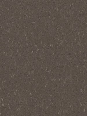 wfwp3632 Forbo Linoleum Uni sealion Marmoleum Piano