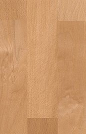 wH535419 Haro Serie 4000 Holzparkett Buche ged�mpft Trend...